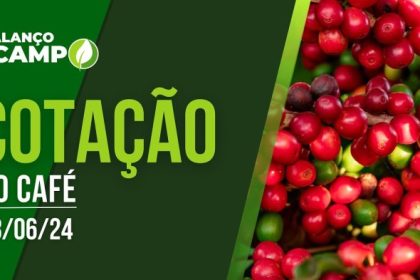 COTAÇÃO DO CAFÉ – 28/06/2024 | Rede Mais