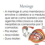 Como as bactérias da meningite atacam o cérebro - Neurologia Hoje ...