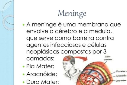 Como as bactérias da meningite atacam o cérebro - Neurologia Hoje ...
