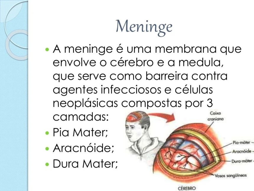 Como as bactérias da meningite atacam o cérebro - Neurologia Hoje ...