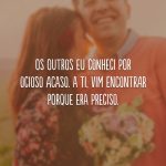 Os Outros Eu Conheci Por Ocioso Acaso. A Ti Vim Encontrar Porque Era Preciso