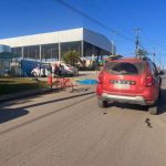 Caixa para Arquivo Morto Gigante Padrão Ofício - Cód 1408